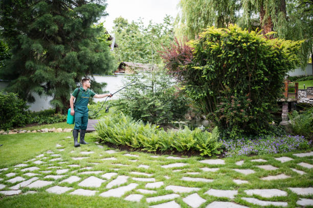 Best Emergency Pest Control  in Springdale, OH