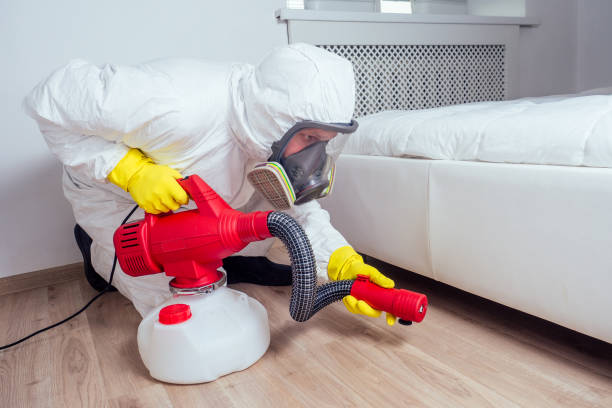 Best Exterminator Services  in Springdale, OH
