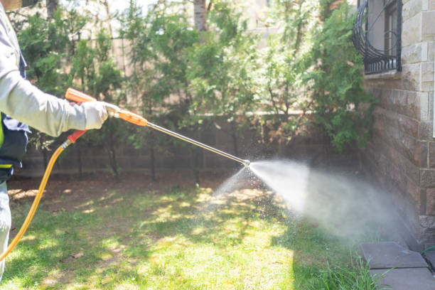 Best Bird Control  in Springdale, OH