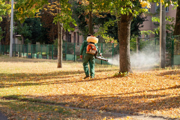Best Cockroach Control Services  in Springdale, OH