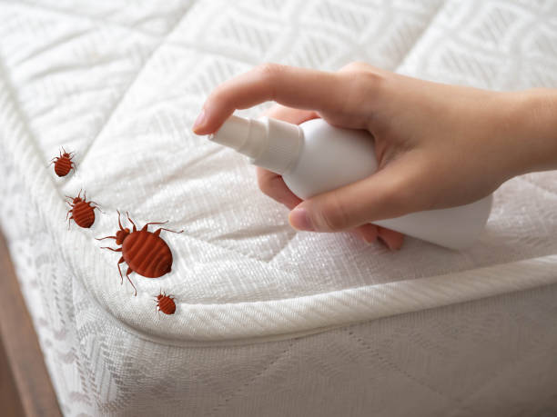 Best Residential Pest Control  in Springdale, OH
