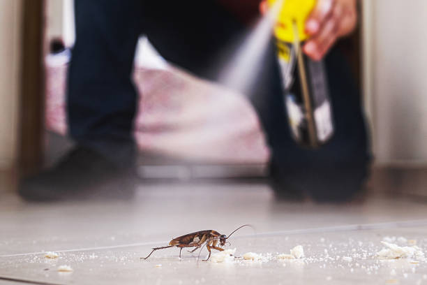 Best Commercial Pest Control Services  in Springdale, OH
